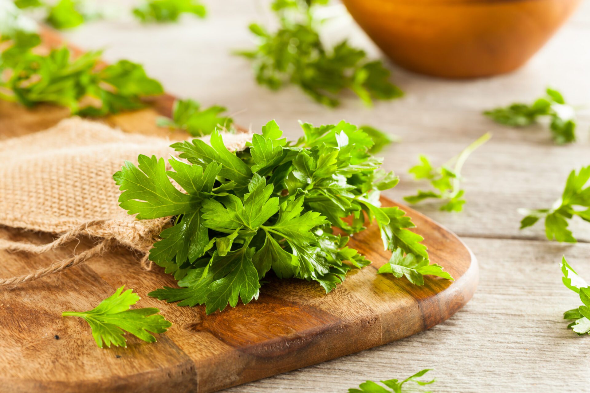 Organic,Italian,Flat,Leaf,Parsley,Ready,To,Eat