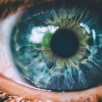 Pupille, Pupillen, Augen, Anziehung