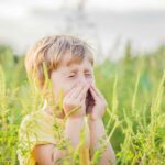 Pollensaison, Allergie, Allergiker