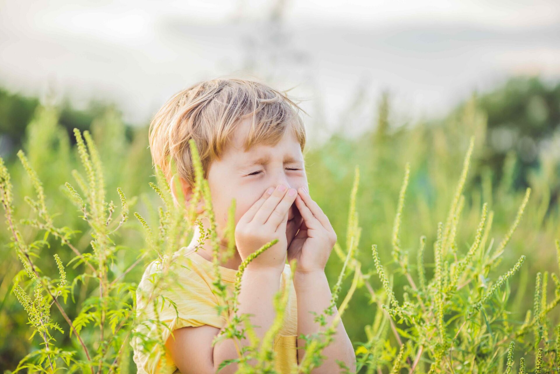 Pollensaison, Allergie, Allergiker