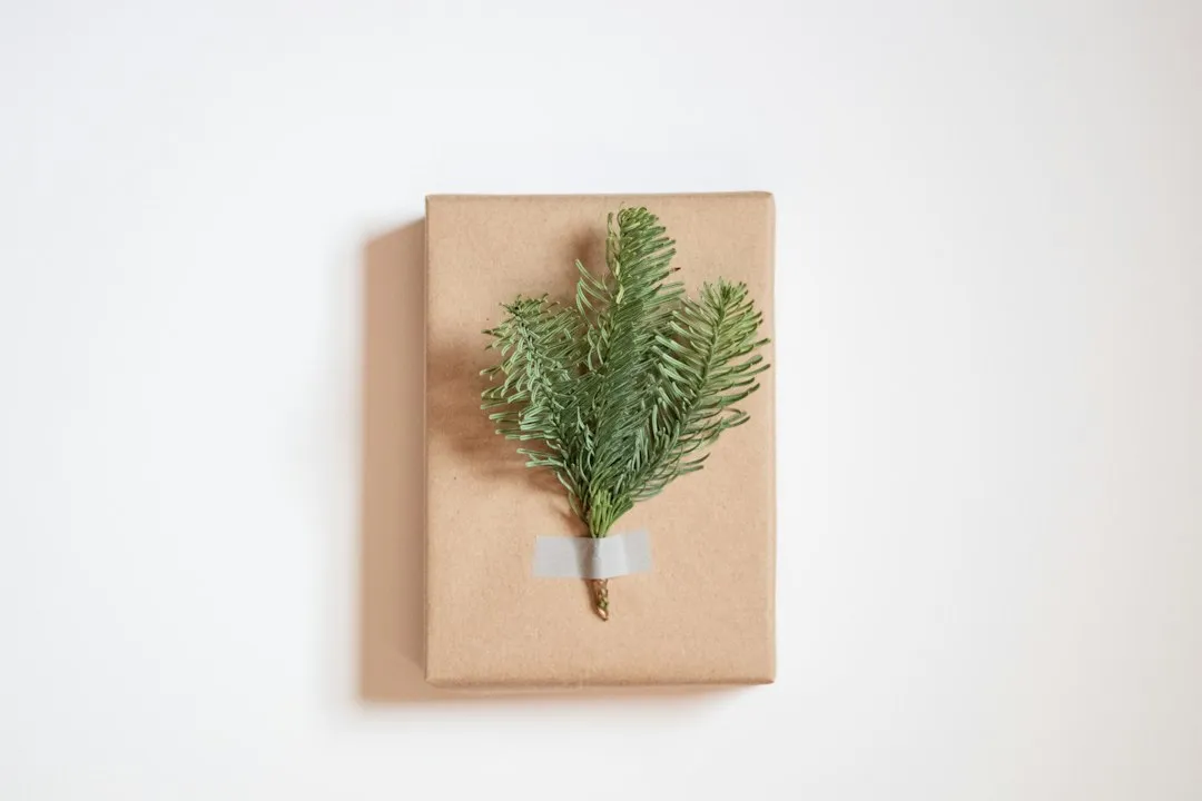 Geschenk mit Tannenzweig auf Kraftpapier – Naturmaterialien als Geschenkschmuck