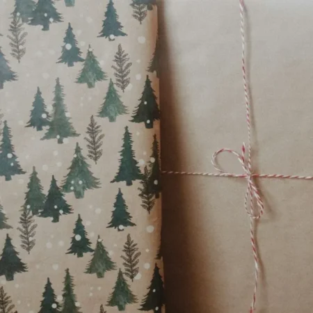 Geschenk in Kraftpapier mit Naturmotiv und Paketschnur – nachhaltig verpacken