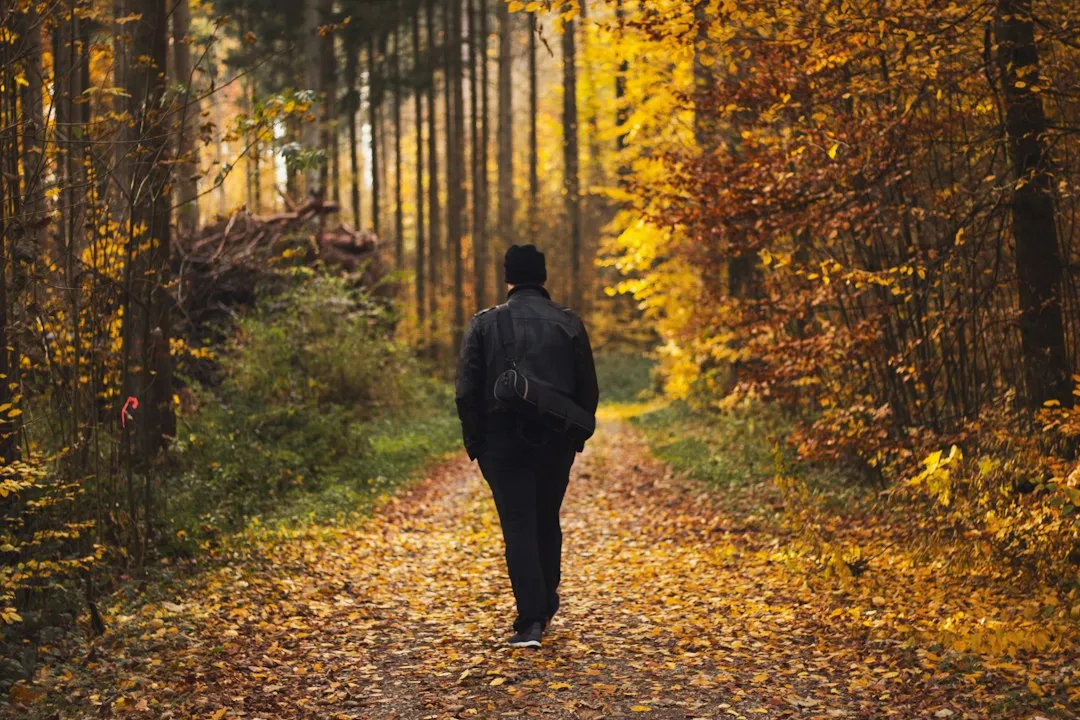Spaziergang im herbstlichen Wald bei Tageslicht – Licht und Bewegung tun der Psyche in der dunklen Jahreszeit gut